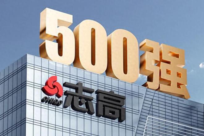 个型号好？2025最建议买这三款：口碑公认!long88龙8国际志高洗衣机质量怎么样？哪(图5)