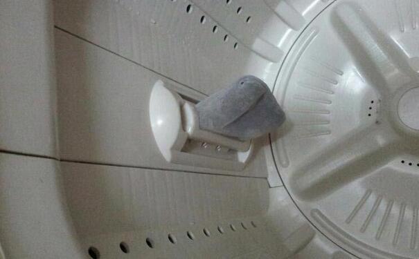 洗衣机的过滤器如何快速清洗(图3)